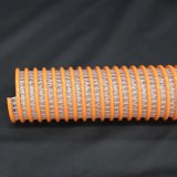 画像: N.E.-ライン